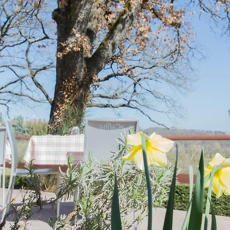 Le Crugnole Apartment Montepulciano